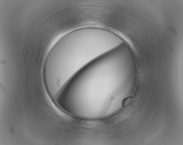 X0000090971383200708021133