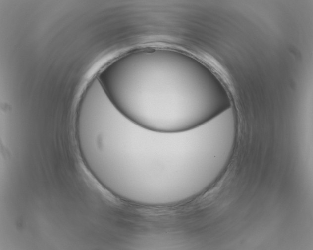 X0000090971384200708021133
