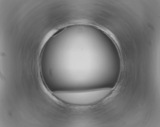 X0000090971389200708021133