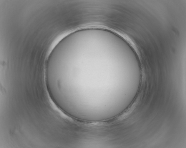 X0000090971390200708021133