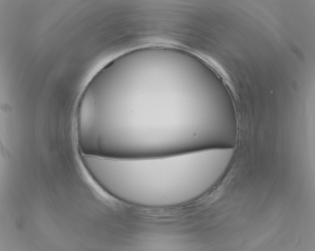 X0000090971391200708021133