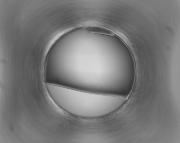 X0000090971392200708021133