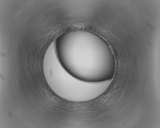 X0000090971394200708021132