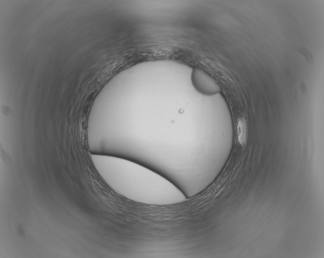 X0000090971395200708021132