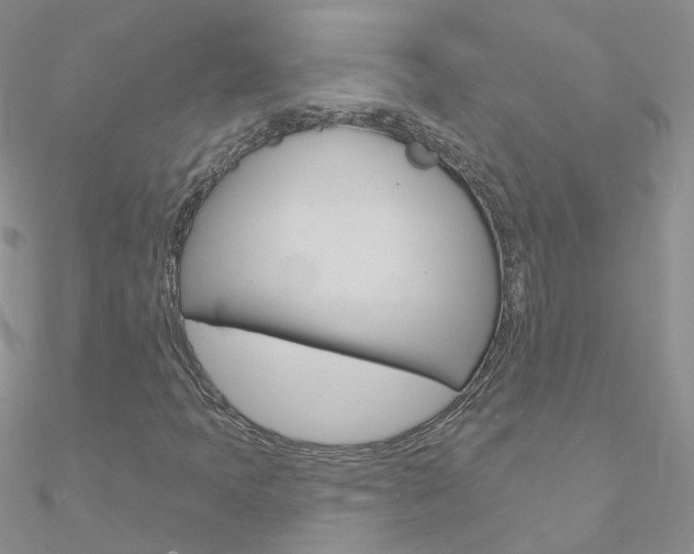 X0000090971397200708021132
