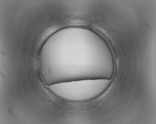 X0000090971405200708021132