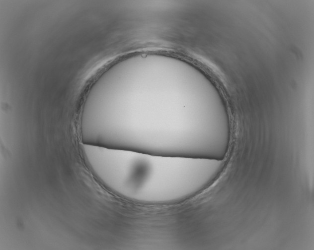 X0000090971407200708021133