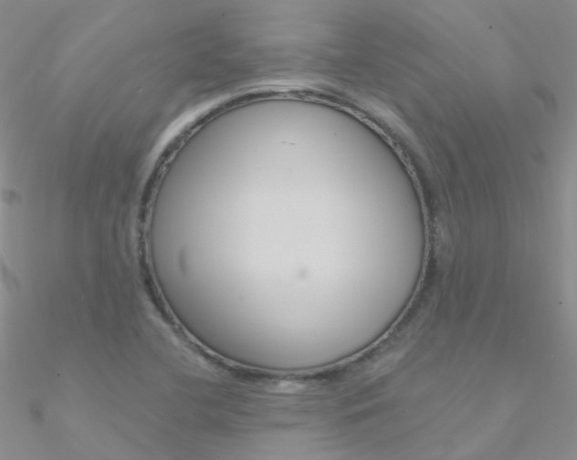 X0000090971412200708021133
