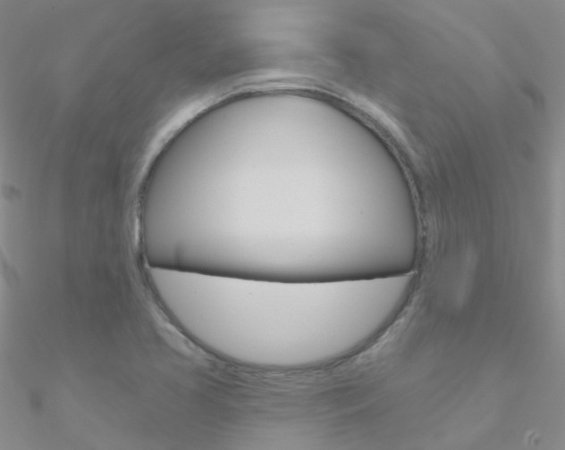 X0000090971413200708021133