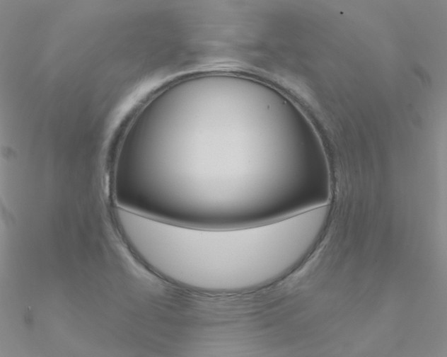 X0000090971414200708021133