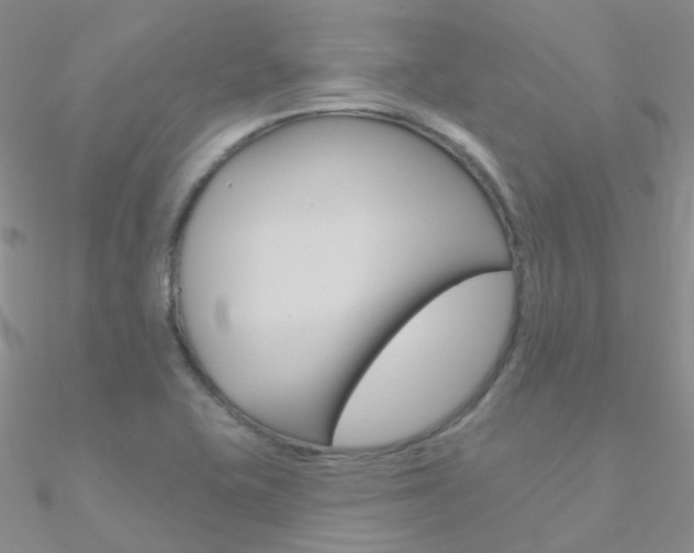 X0000090971415200708021133