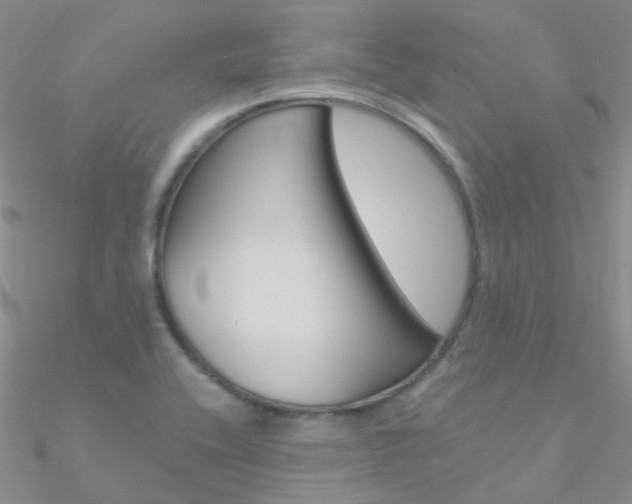 X0000090971416200708021133