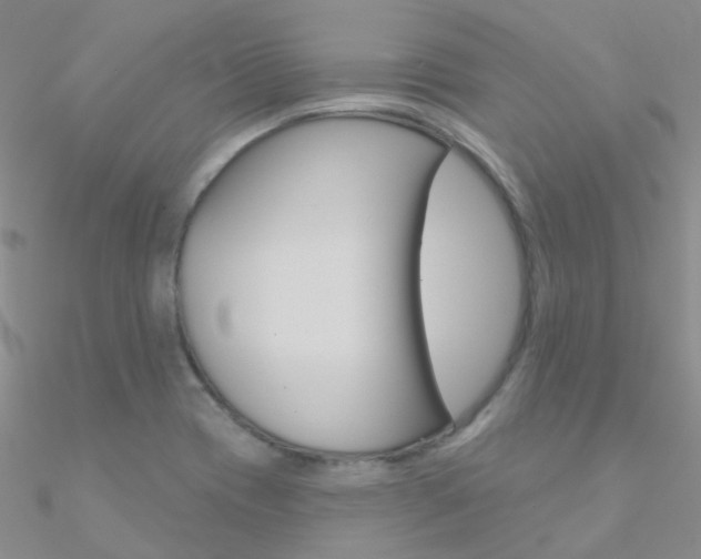 X0000090971417200708021133