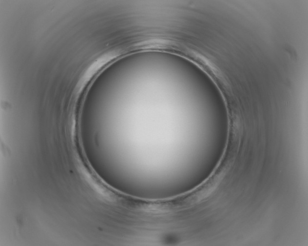 X0000090971418200708021133