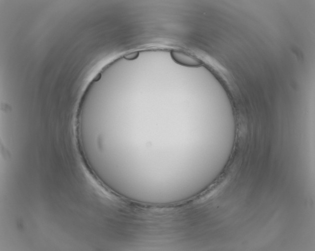 X0000090971423200708021133