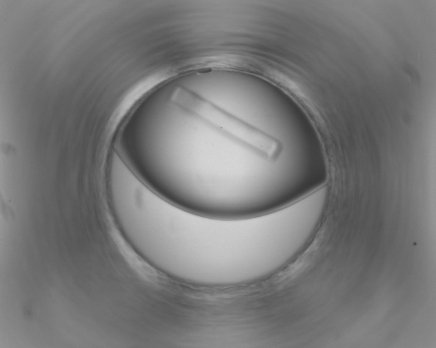 X0000090971426200708021133