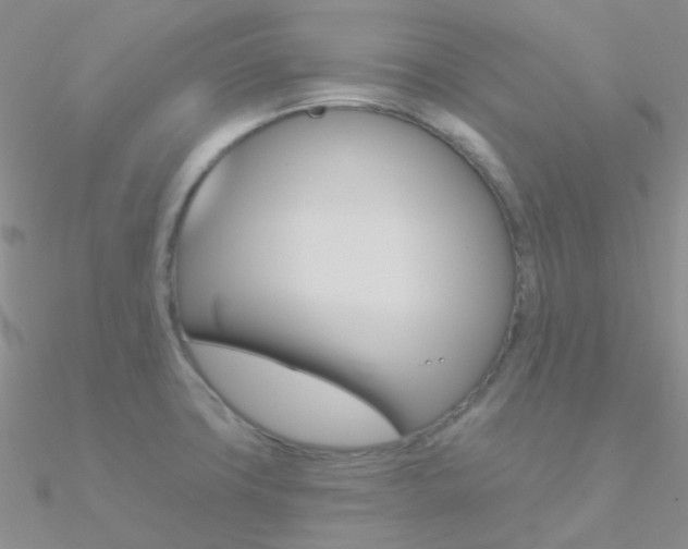 X0000090971427200708021133