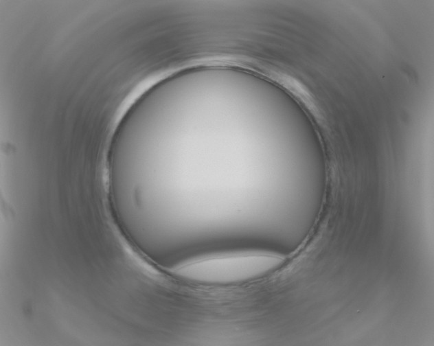 X0000090971428200708021133