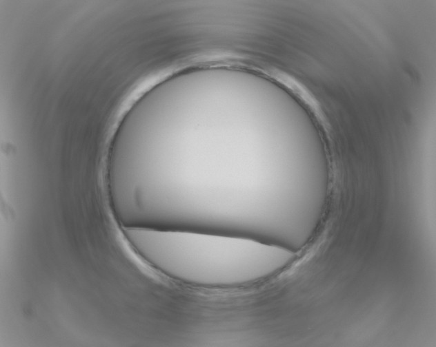 X0000090971429200708021133