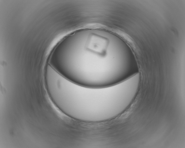 X0000090971430200708021133