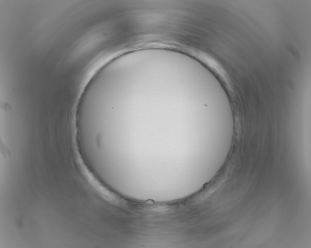 X0000090971431200708021133