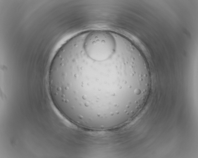 X0000090971432200708021133