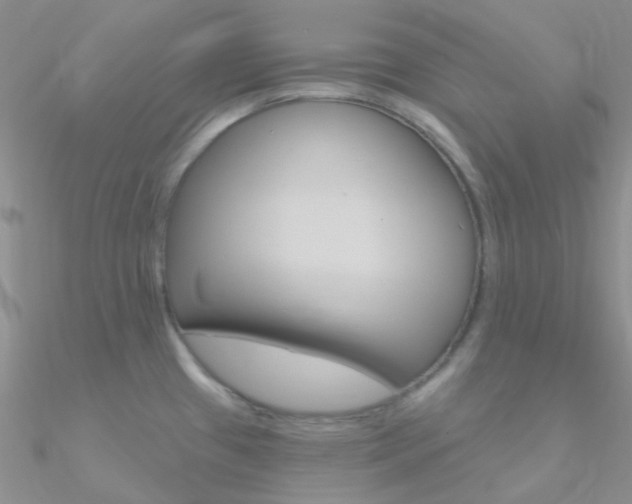 X0000090971433200708021133