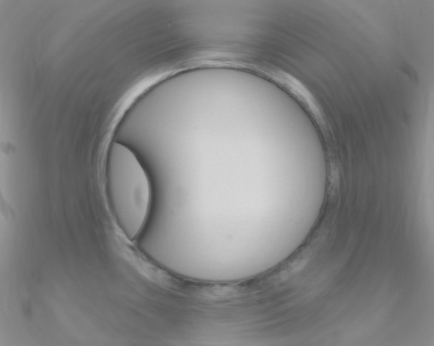 X0000090971435200708021133