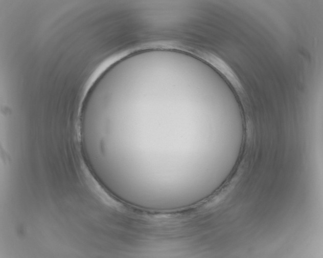 X0000090971436200708021133