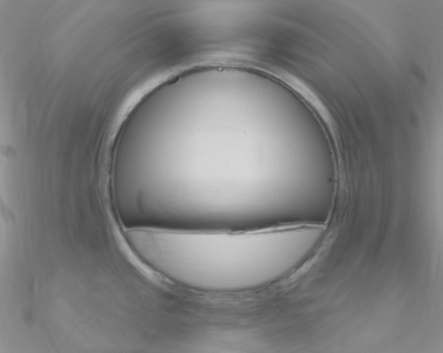 X0000090971437200708021133