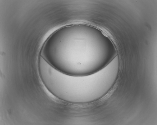 X0000090971438200708021133