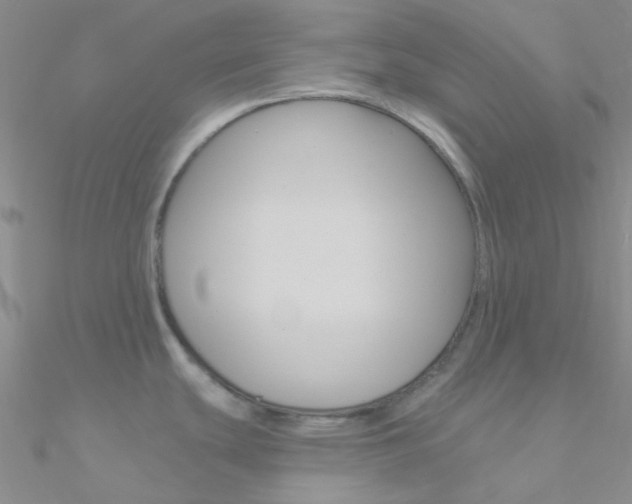 X0000090971439200708021133