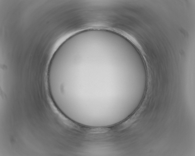 X0000090971440200708021133