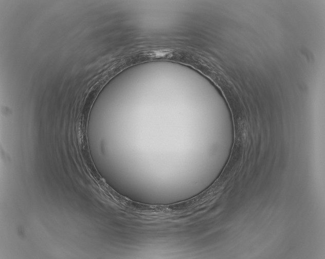 X0000090971442200708021132