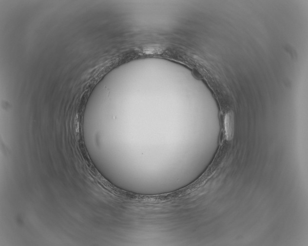 X0000090971443200708021132