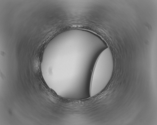 X0000090971444200708021132