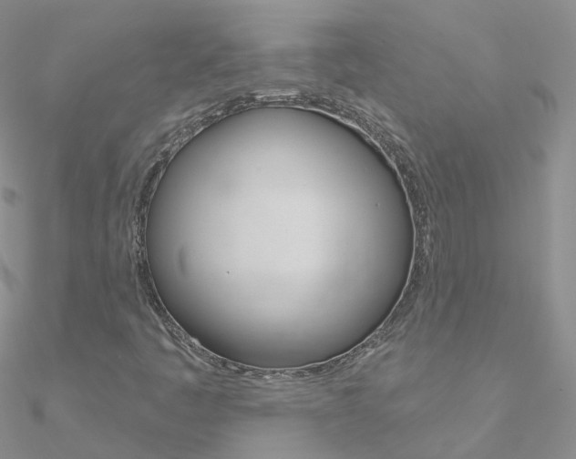 X0000090971445200708021132