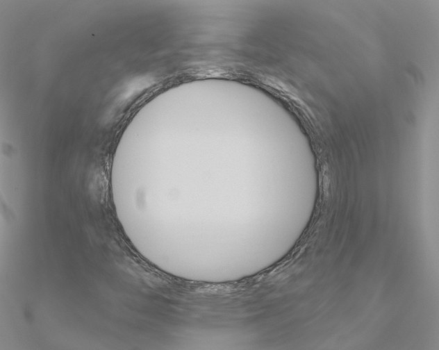 X0000090971446200708021132