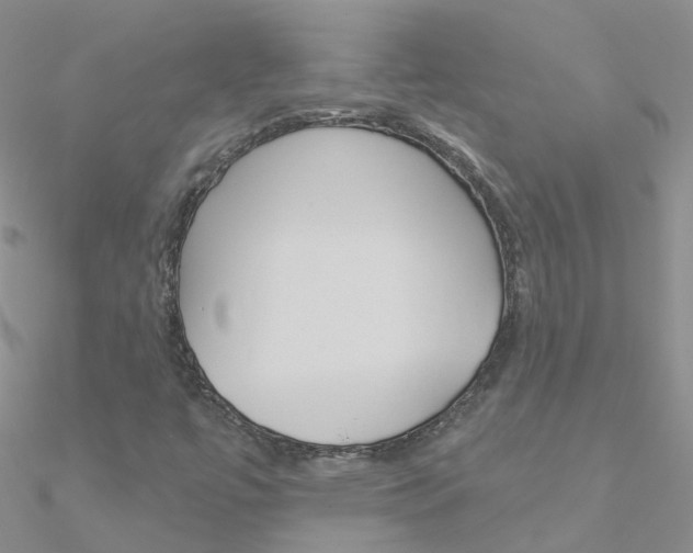 X0000090971447200708021132