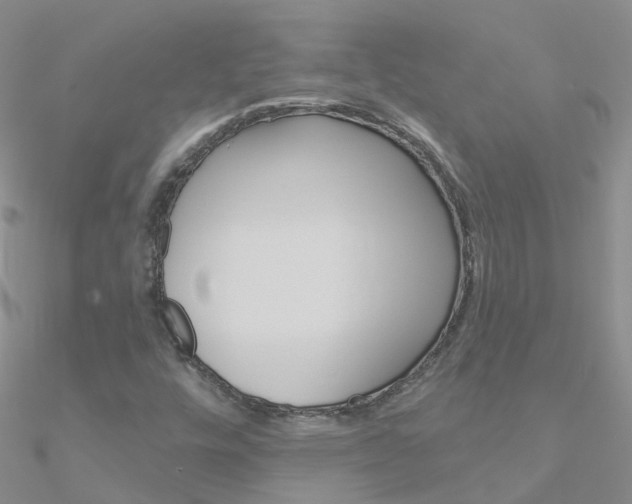 X0000090971448200708021132