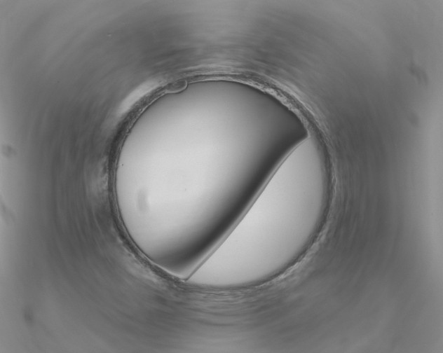 X0000090971450200708021132
