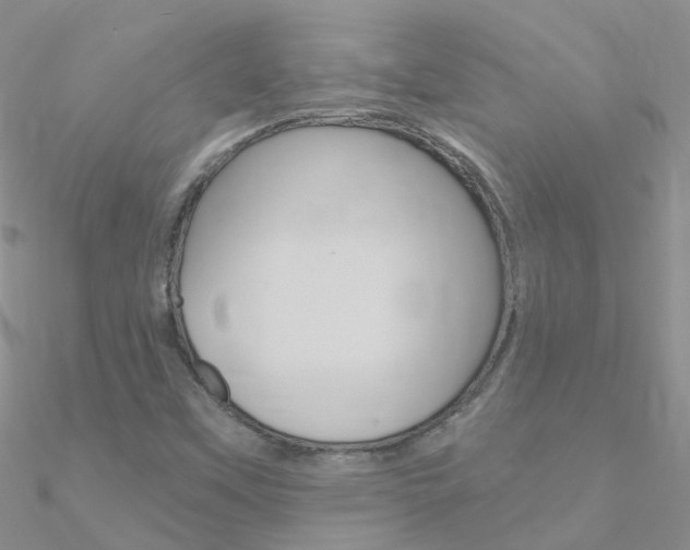 X0000090971451200708021132