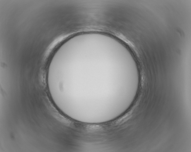 X0000090971454200708021132