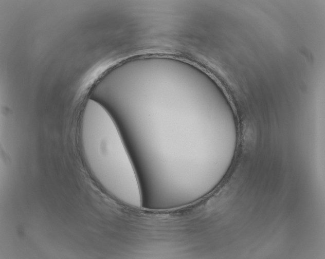 X0000090971455200708021132