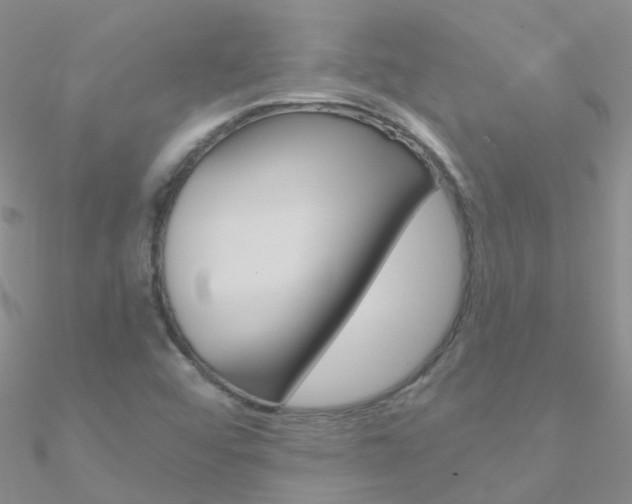 X0000090971456200708021132