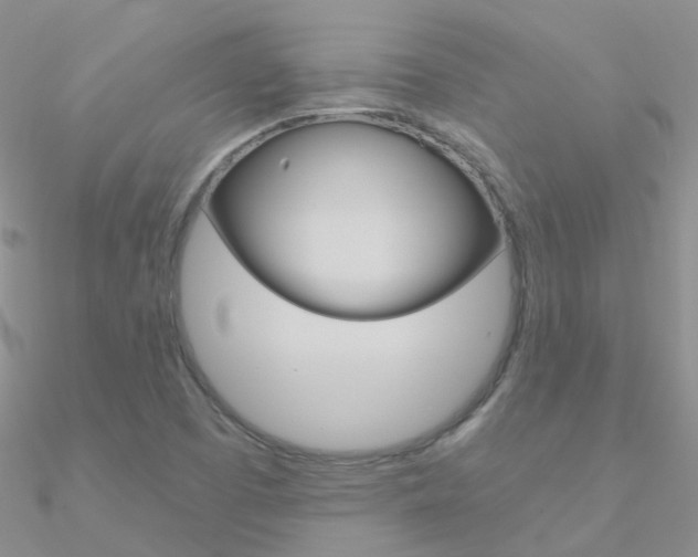 X0000090971457200708021132