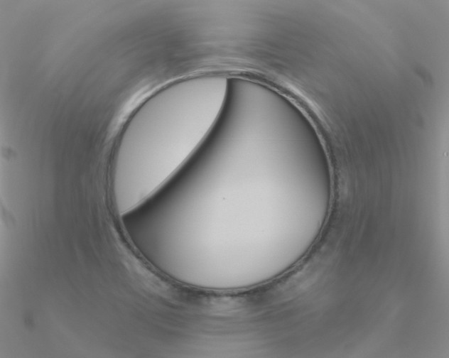 X0000090971459200708021132