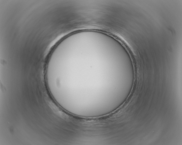 X0000090971460200708021132