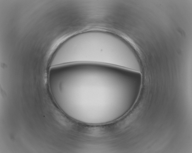 X0000090971461200708021132