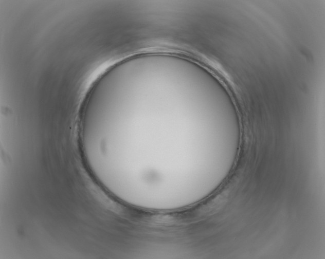 X0000090971463200708021132